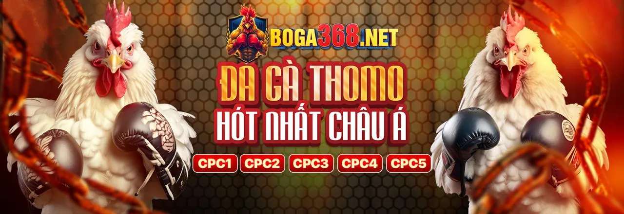 Lý do chọn 28win APK