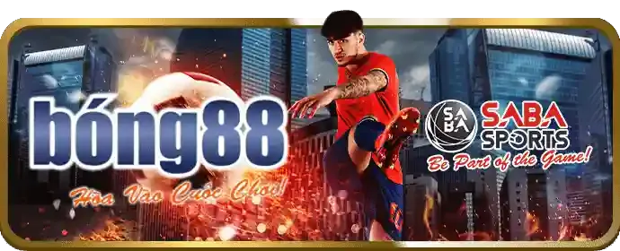 Cá cược thể thao 28win APK